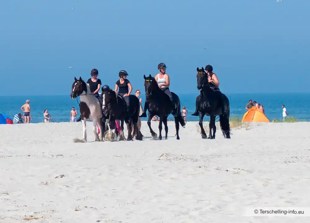 Paardrijden op het strand van Terschelling