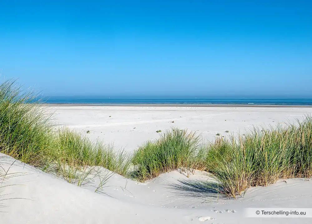 Strand Terschelling