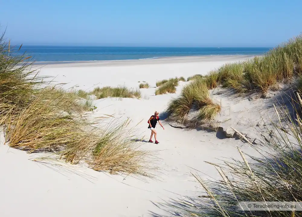 Strand Terschelling